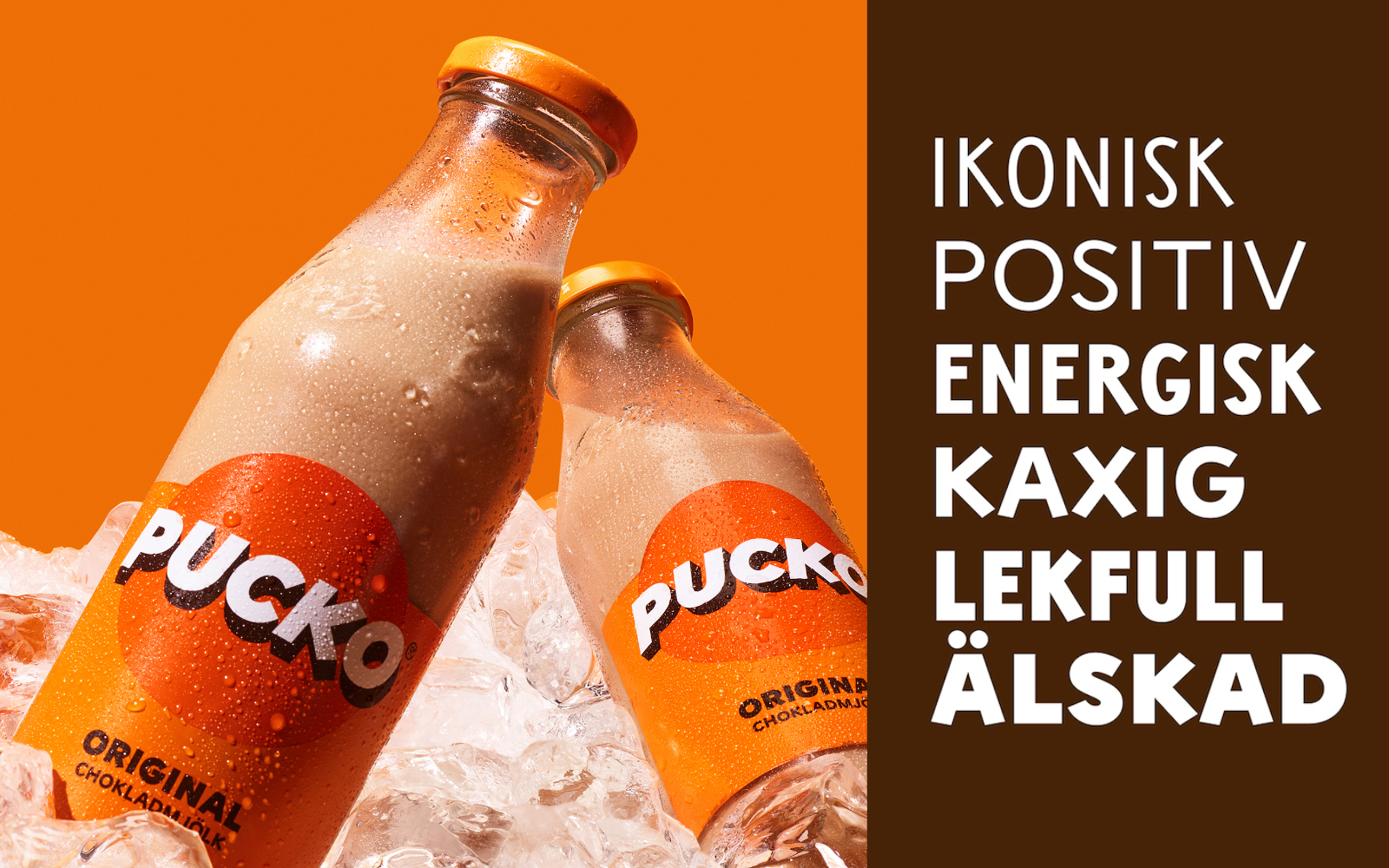 Pucko – från nostalgisk klassiker till modern ikon